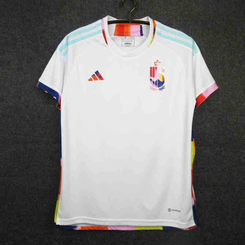 2022 World Cup Belgium away